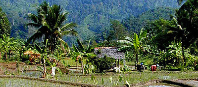Sixth International Ecosystem Services Partnership Conference | Ecosystèmes Tropicaux | Scoop.it