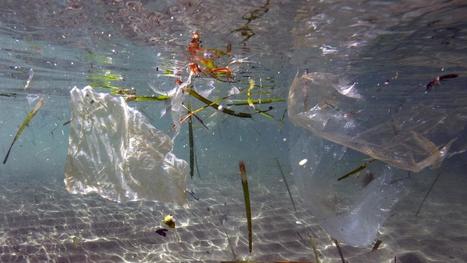Les pays du G20 s'engagent à réduire la pollution plastique en milieu marin | GREENEYES | Scoop.it