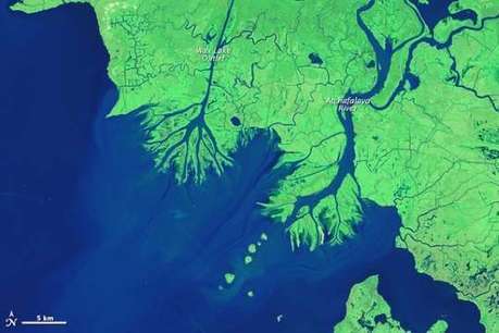 New Land Off Louisiana Seen from Space | Coastal Restoration | Scoop.it