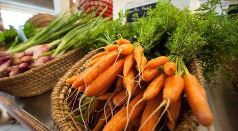 #EGalim : « Il faut avoir un regard à la fois global et local sur l'agriculture » | Alim'agri | CIHEAM Press Review | Scoop.it