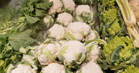 CONSOMMATION : ces l&eacute;gumes boud&eacute;s qui risquent la poubelle | FRUITS ET L&Eacute;GUMES | Scoop.it