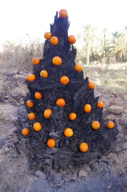 Aleksandra Cuper & Alain Lapicore: installation | Art Installations, Sculpture, Contemporary Art | Scoop.it