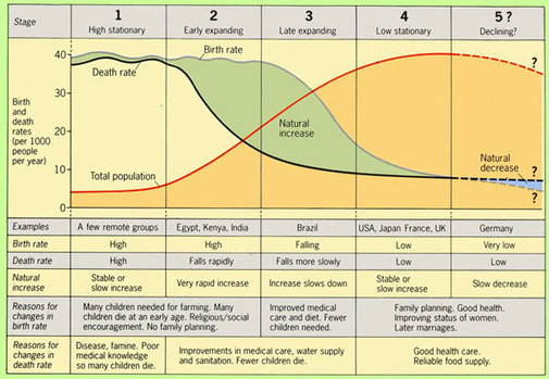 democratic transition model