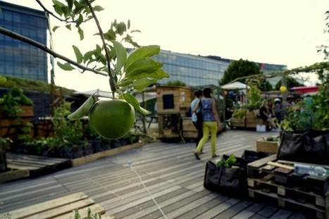 Toits Vivants, pour végétaliser la ville | Paris durable | Scoop.it