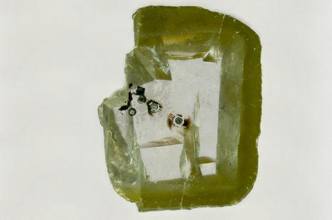 Survey Finds Sexual Harassment in Anthropology | AAAS | Operation Oya | Scoop.it