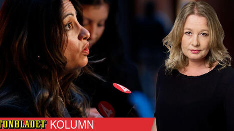 Nooshi Dadgostar m&aring;ste avg&aring; f&ouml;r allas skull | A1Uutiset | Scoop.it