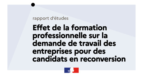 Effet de la formation professionnelle sur la demande de travail des entreprises pour des candidats en reconversion | Enseignement secondaire et supérieur | Scoop.it