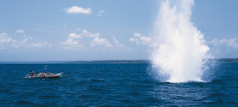 MALAYSIA IS ABOUT TO ESTABLISH A 1.6 MILLION HECTARE MARINE PARK | Sandy Beach Ecology & Management | Scoop.it