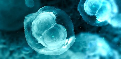 New 3D Printed Ovaries Allow Infertile Mice to Give Birth | Amazing Science | Scoop.it