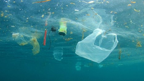 Shiseido invests in R Plus Japan to drive plastic recycling action  | Sustainable Procurement & CSR News - Cosmetics Industry | Scoop.it