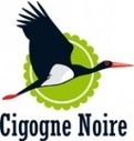 Lettre d’info Cigogne noire n°1 | Les oiseaux au gré du vent | Scoop.it