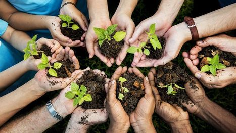 Les émissions de « green bonds » battent un nouveau record | Développement Durable, RSE et Energies | Scoop.it