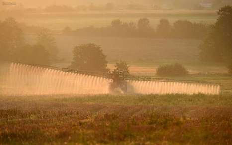 Glyphosate : une lettre ouverte aux maires des Landes  | Landes | Scoop.it