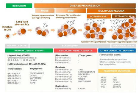 Cancers | Free Full-Text | Multiple Myeloma: Available Therapies and Causes of Drug Resistance | Hematology | Scoop.it