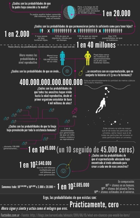 La probabilidad de que existas es casi un milagro [Infografía] | Artículos CIENCIA-TECNOLOGIA | Scoop.it