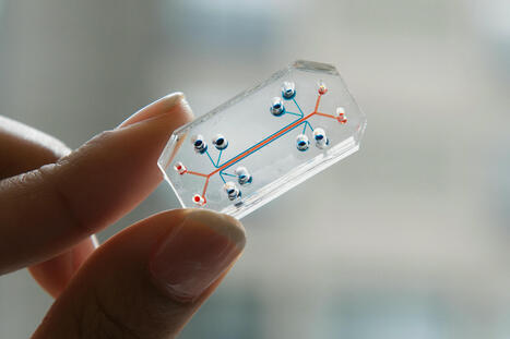 HMB is more common than asthma or diabetes, yet often ignored | Healthcare: reloaded... | Scoop.it