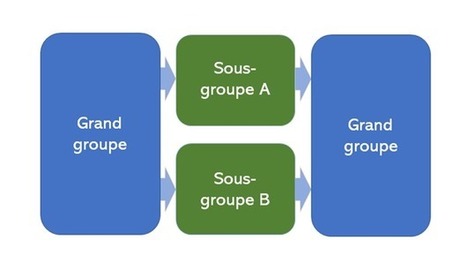 METHODO / Des cours en visioconf&eacute;rence engageants avec allers-retours entre le grand groupe, le sous-groupe et l'&eacute;quipe | Innovation et transformation p&eacute;dagogique | Scoop.it