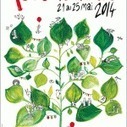 La Fête de la Nature : herbes folles, jeunes pousses et vieilles branches | Paysage - Agriculture | Scoop.it