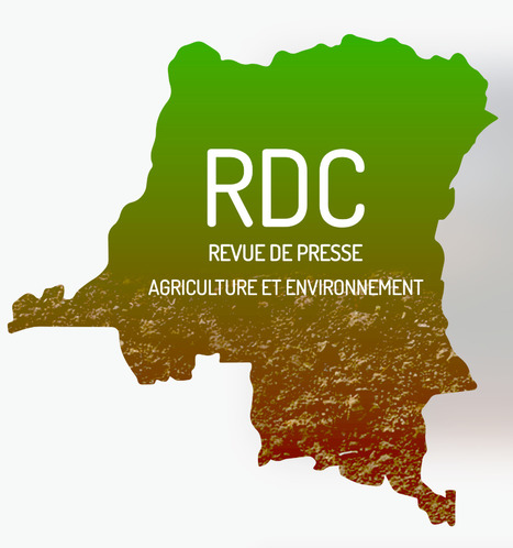 L’abandon de l’agriculture, l’une des causes de la pauvreté en RDC, selon  la Banque mondiale | Questions de développement ... | Scoop.it