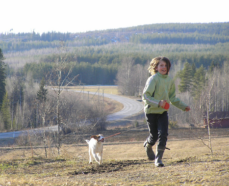 Koira | 1Uutiset - Lukemisen tähden | Scoop.it