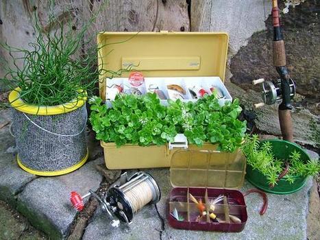 Creative container garden for the cabin | Upcycled Garden Style | Scoop.it
