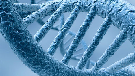 The Piwi‐piRNA pathway: road to immortality | Genetics - GEG Tech top picks | Scoop.it