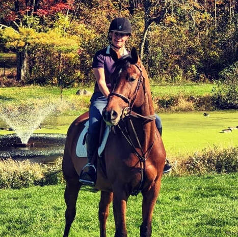 Discover Equestrian Excellence at Apple Creek Farm LLC: You’re Premier Destination for Quality Horses | Apple Creek Farm - Becky Peckham | Scoop.it