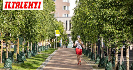 Nyt se lämpö tulee! Jopa +20 astetta | 1Uutiset - Lukemisen tähden | Scoop.it
