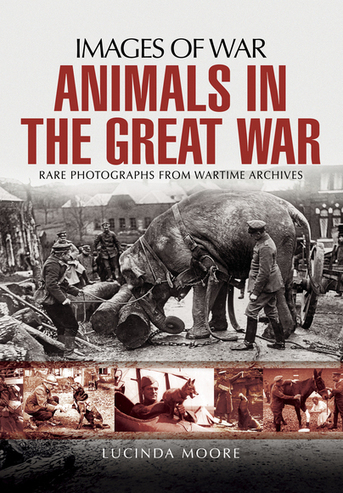 Animals in the Great War | Autour du Centenaire 14-18 | Scoop.it