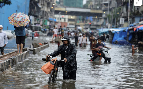 ENVIRONMENT: How does India benefit from early, ample monsoon rains? | DURABILITES | Scoop.it