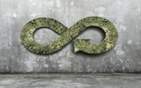 Les matériaux biosourcés, une réponse aux enjeux d’économie circulaire | Matériaux recyclés, géo et bio-sourcés en régions méditerranéenne et alpine | Scoop.it