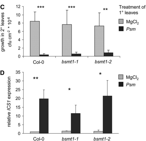Plant Cell: Methyl Salicylate Production and Jasmonate Signaling Are Not Essential for Systemic Acquired Resistance in Arabidopsis (2009) | Plants and Microbes | Scoop.it