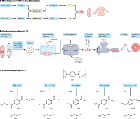 Polyester-degrading enzymes in a circular economy of plastics | Nrb | RMH | Scoop.it