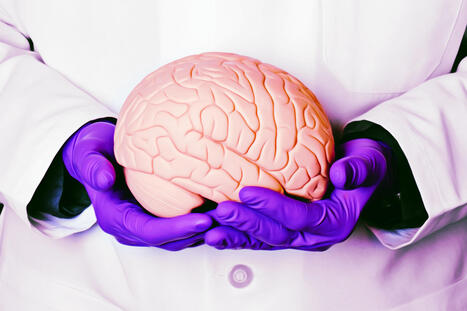 People Are Horrified by Lab-Grown Human Brains | The Health Report | Scoop.it