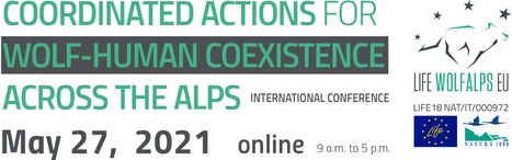 Conférence "Actions coordonnées pour la coexistence entre les activités humaines et le loup à l'échelle des Alpes" | Biodiversité | Scoop.it