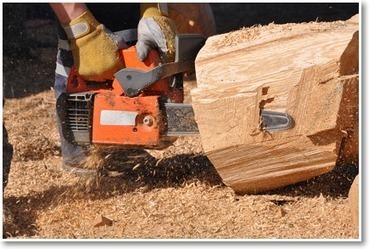 Les m&eacute;tiers et dipl&ocirc;mes de l'industrie du bois en Bourgogne | Veille &Eacute;ducative - L'actualit&eacute; de l'&eacute;ducation en continu | Scoop.it