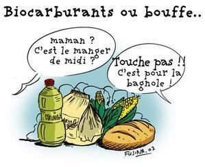 Agrocarburants : et si l'Europe se trompait ? | Energies Renouvelables | Scoop.it