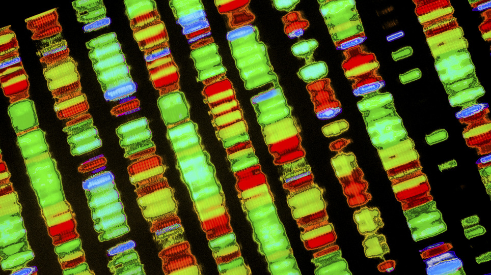 UK aims to cut four years from drug development process - Pharmaphorum | New pharma | Scoop.it