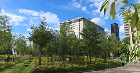 Ville r&eacute;g&eacute;n&eacute;rative : biodiversit&eacute;, ZAN, &eacute;nergie bas carbone en pratique | Veille UrbaLyon : Planification urbaine -  Plan local d'urbanisme | Scoop.it
