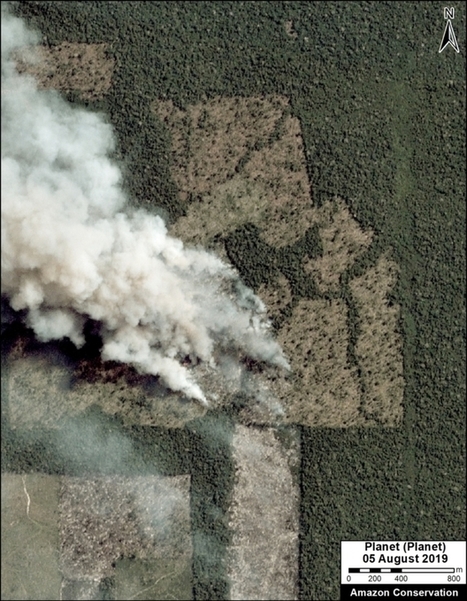 Amazon Rainforest Worst Decade: An Overview of the Crisis | RAINFOREST EXPLORER | Scoop.it