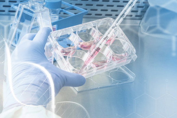 12 Most Common Supply Chain Challenges in Life Science Industry | Track & Trace | Scoop.it
