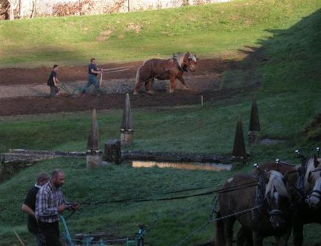 Venarey-les-Laumes | Un retour aux sources - Le Bien Public | Cheval et Nature | Scoop.it