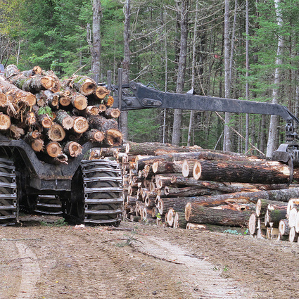 Plan to Hike Timber Harvest on Maine Public Lands Generates Concern | Timberland Investment | Scoop.it