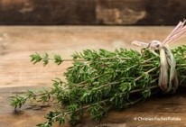 Connaissez-vous les bienfaits du thym? - Notre Temps | Epices, aromates, poivre et vanille | Scoop.it