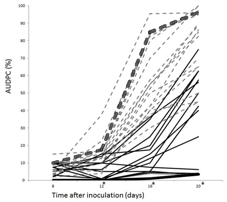 MPMI: Qualitative and quantitative late blight resistance in the potato cultivar Sarpo Mira is determined by the perception of five distinct RXLR effectors | Plants and Microbes | Scoop.it