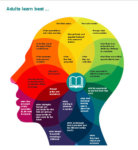 A Professional Learning Teacher Toolkit | Into the Driver's Seat | Scoop.it