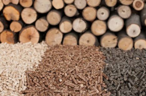 Calderas de biomasa y estufas de pellets; ejemplos y tipos  | tecno4 | Scoop.it