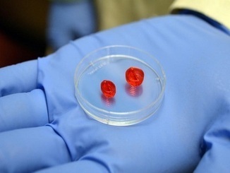 Scientists hope to build first 3D-printed heart | Amazing Science | Scoop.it
