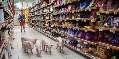 Guerre des prix&nbsp;: tensions dans les n&eacute;gociations entre grande distribution et producteurs | Economie Responsable et Consommation Collaborative | Scoop.it