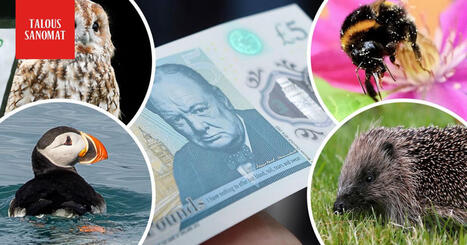 Britannian setelit muuttuvat | A1Uutiset | Scoop.it